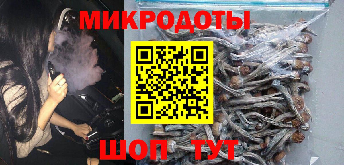 Псилоцибиновые грибы Psilocybe  Вход с VPN  Саров 
