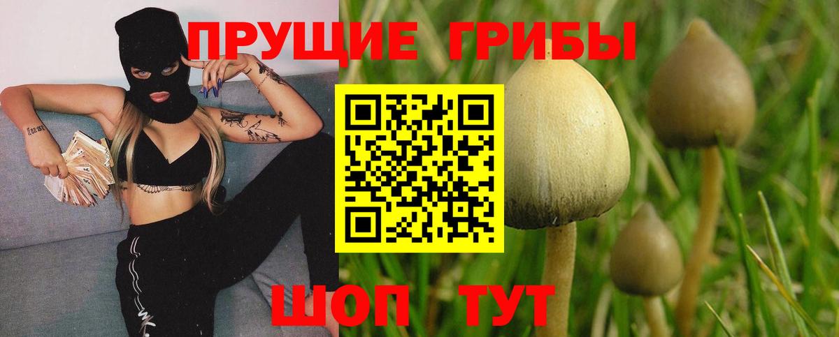 Галлюциногенные грибы GOLDEN TEACHER Саров